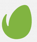 Envato Studio logo